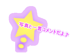 �ʐ^�ƈꌾ�R�����g�����